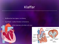 /album/hjart-och-karlsystemet/a6-hja%cc%88rt-och-ka%cc%88rlsystemet-012-jpeg/